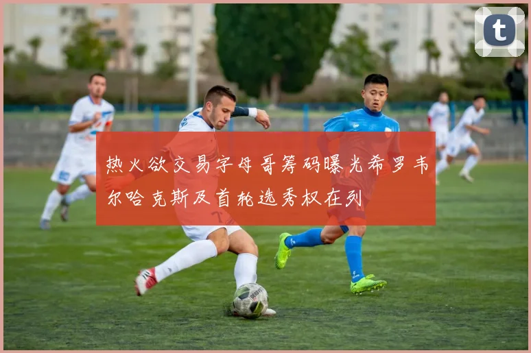 热火欲交易字母哥筹码曝光希罗韦尔哈克斯及首轮选秀权在列