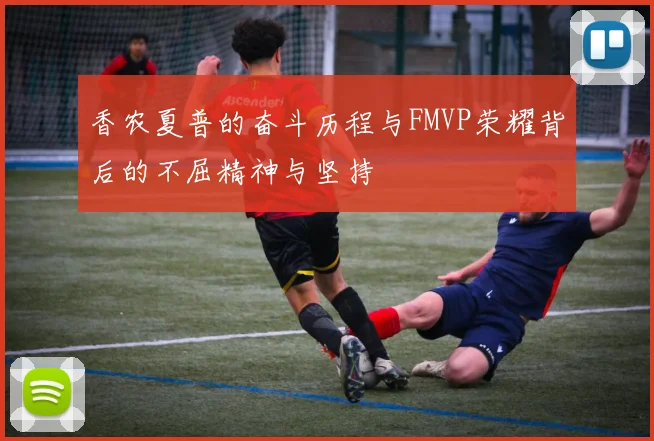 香农夏普的奋斗历程与FMVP荣耀背后的不屈精神与坚持