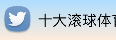 十大滚球体育app官网 logo